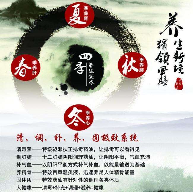 桐蔭横浜大学硕士成绩单